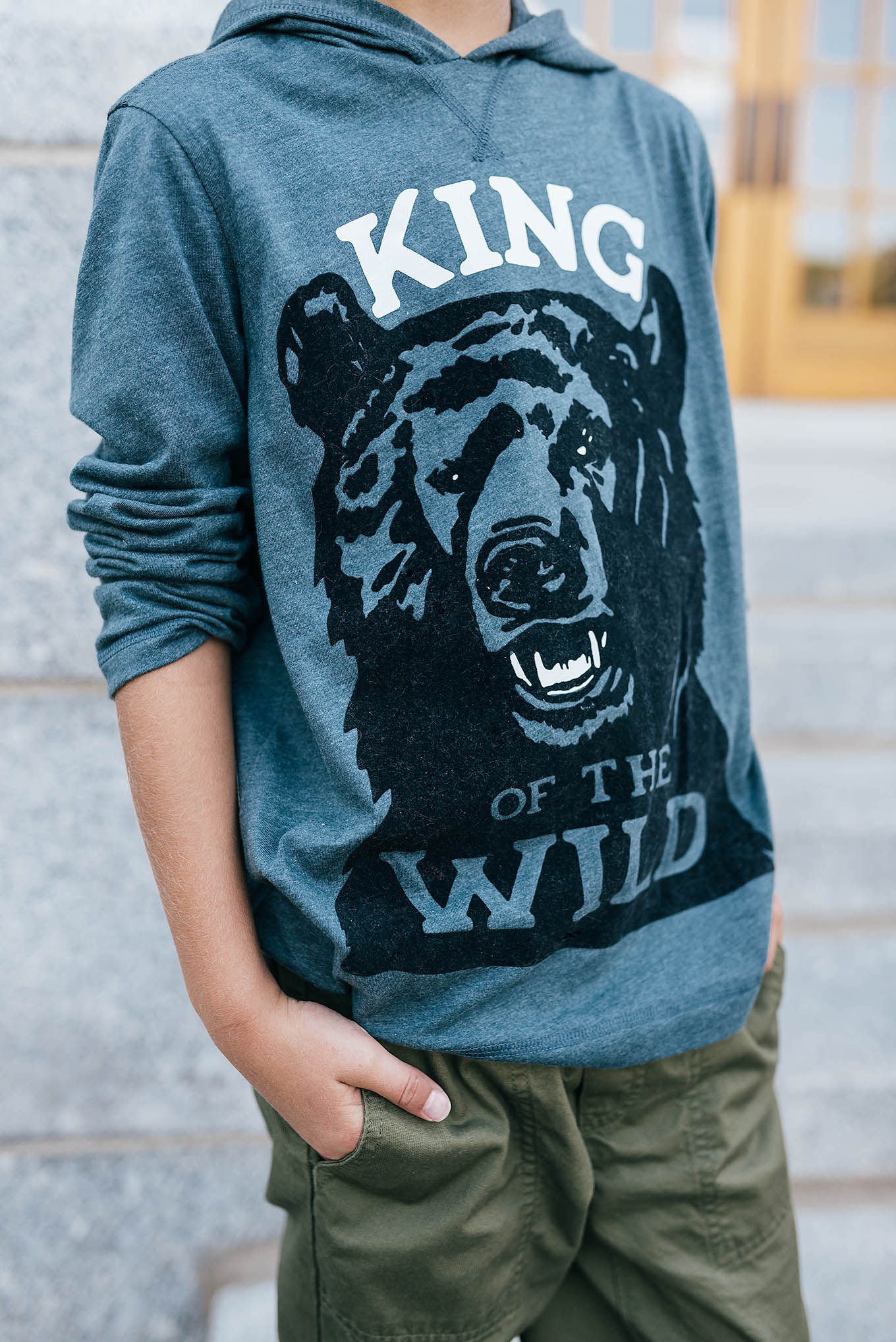 graphic hoodie land's end